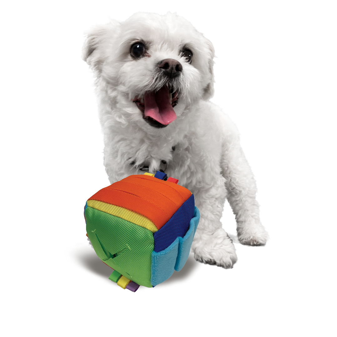 Hide N Seek – Happiness Bento Dog Toy