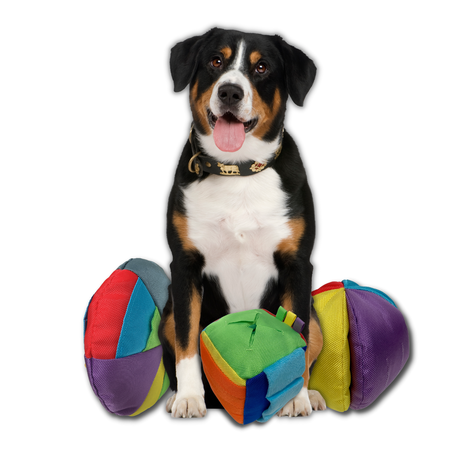 Hide N' Seek Snuffle Balls Dog Toy